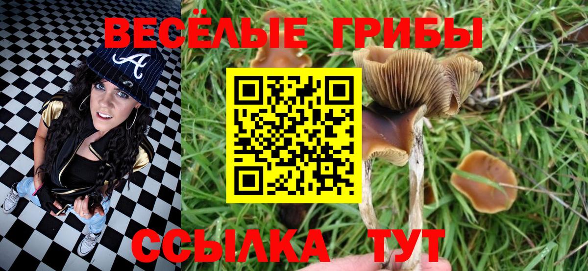 Калуга  Псилоцибиновые грибы мухоморы  Вход с VPN  Псилоцибиновые грибы MAGIC MUSHROOMS 