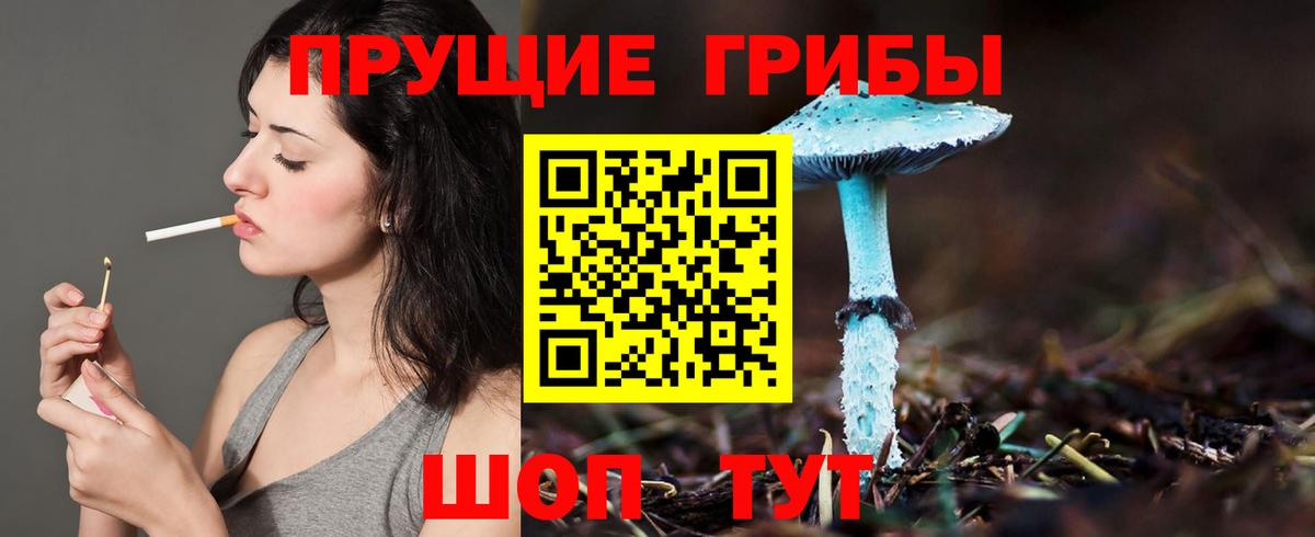 Галлюциногенные грибы GOLDEN TEACHER Калуга